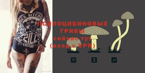 МДПВ Верхний Тагил