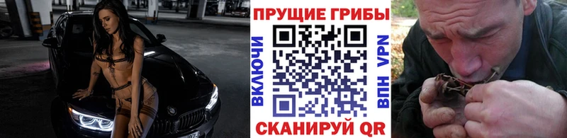 дарк нет клад  Лихославль  Галлюциногенные грибы мухоморы 